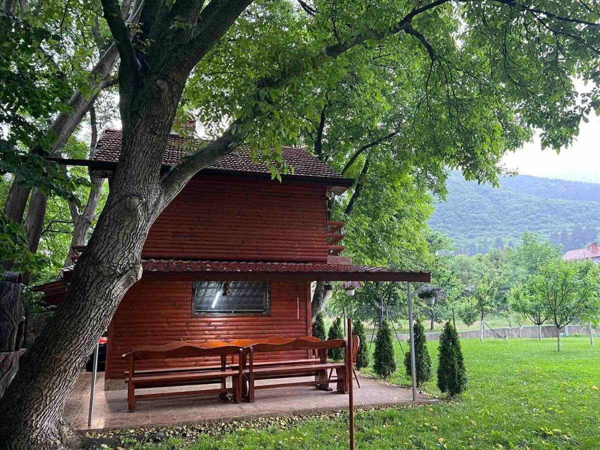 Вила Орехите Doupnitsa Extérieur photo