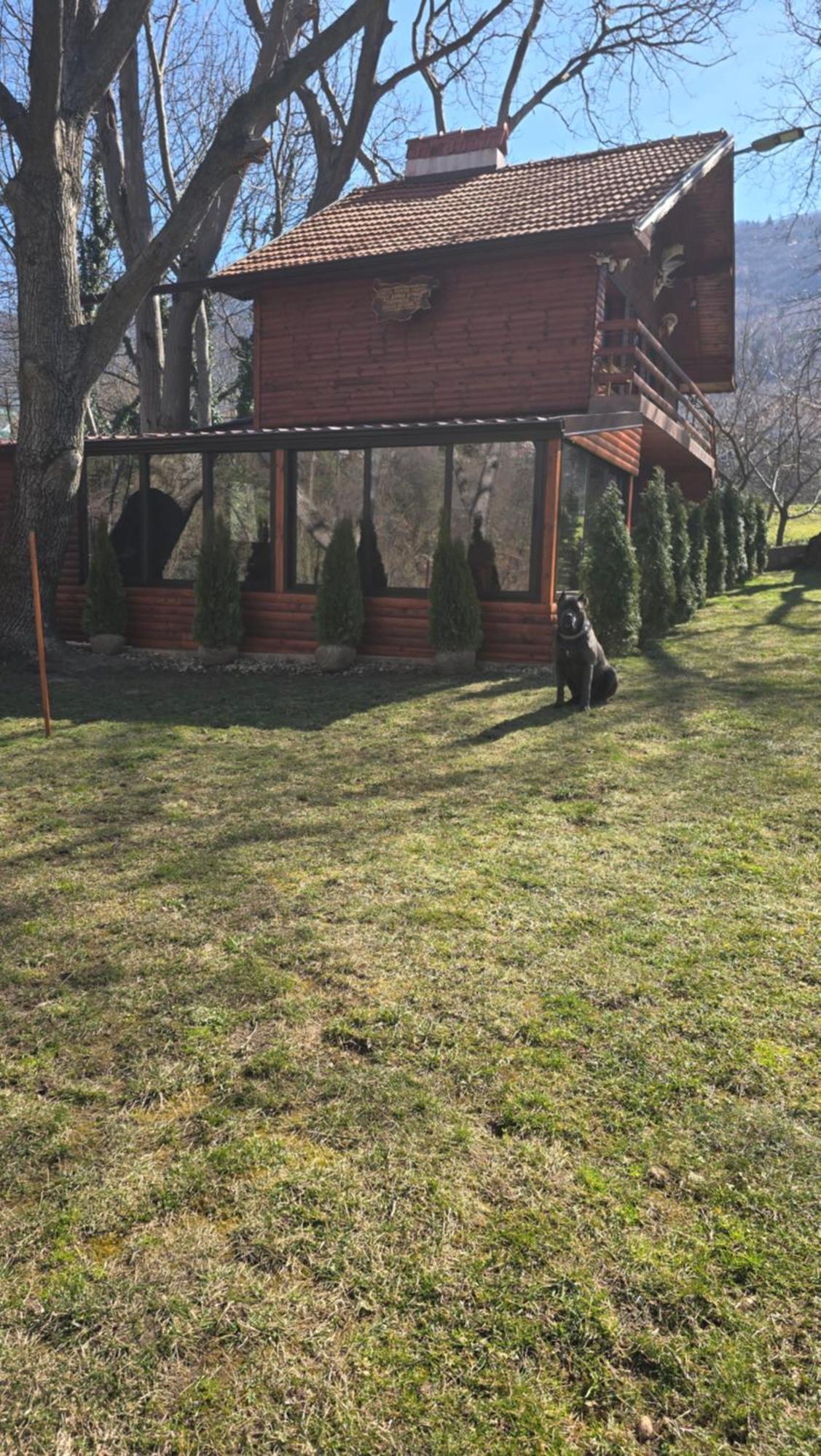 Вила Орехите Doupnitsa Extérieur photo